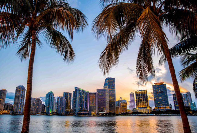 Miami, Florida skyline and bay at sunset seen through palm trees