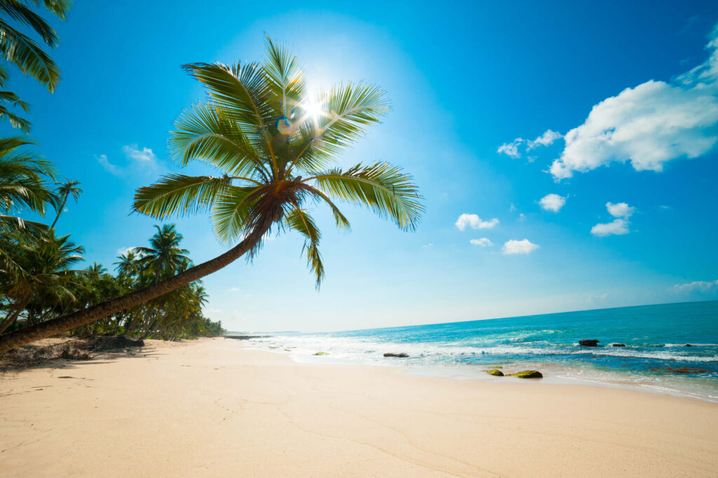 Photo of a tropical beach 