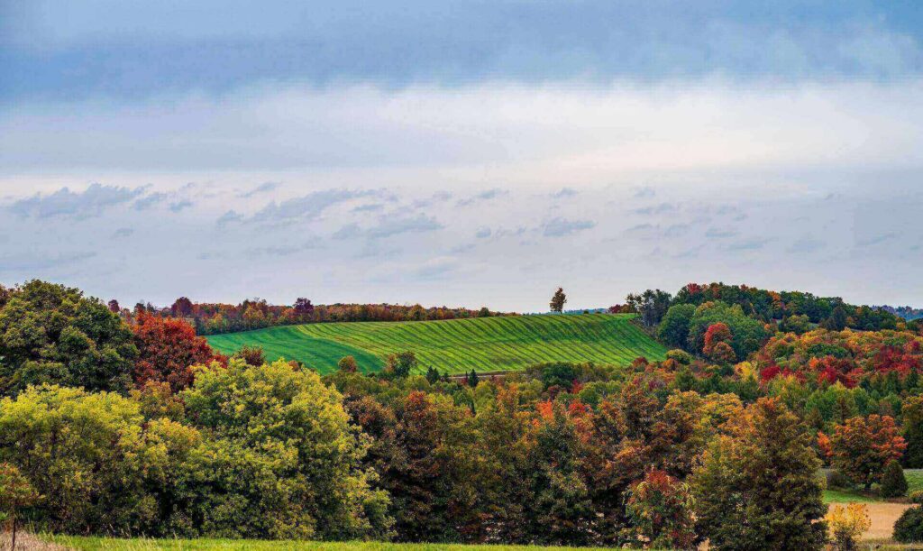 Countryside scenery during the fall