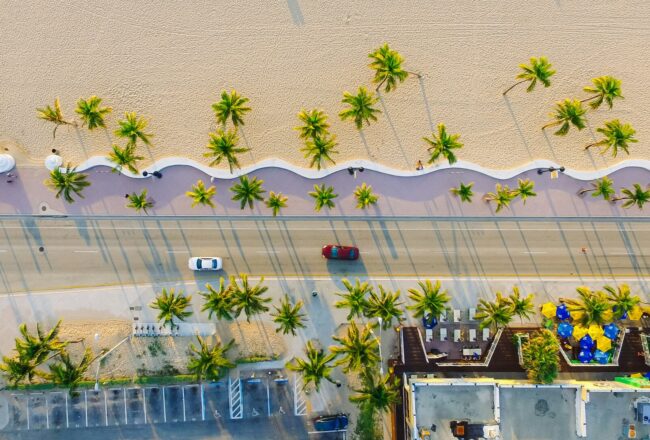 High-angle view of cars driving on a palm tree-lined road in Miami.
